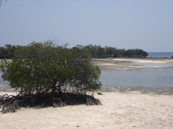 Lea - Lea Bonerate Island